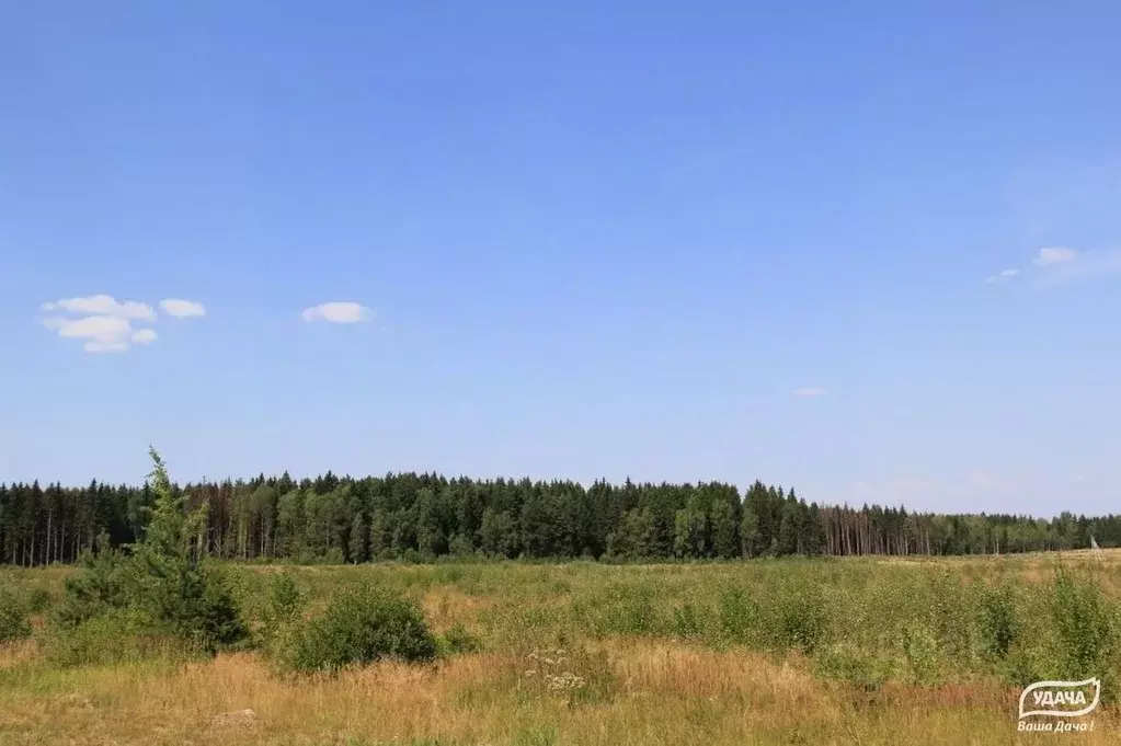 Участок в Калужская область, Малоярославецкий муниципальный округ, с. ... - Фото 2