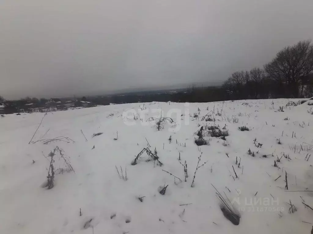 Участок в Брянская область, Брянский район, с. Журиничи Лесная ул. ... - Фото 1