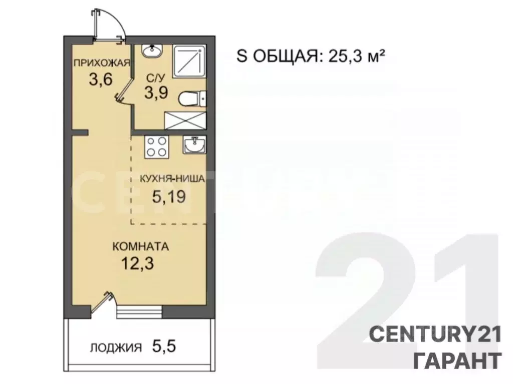 Студия Санкт-Петербург пос. Шушары, просп. Новгородский, 2к3 (25.3 м) - Фото 2