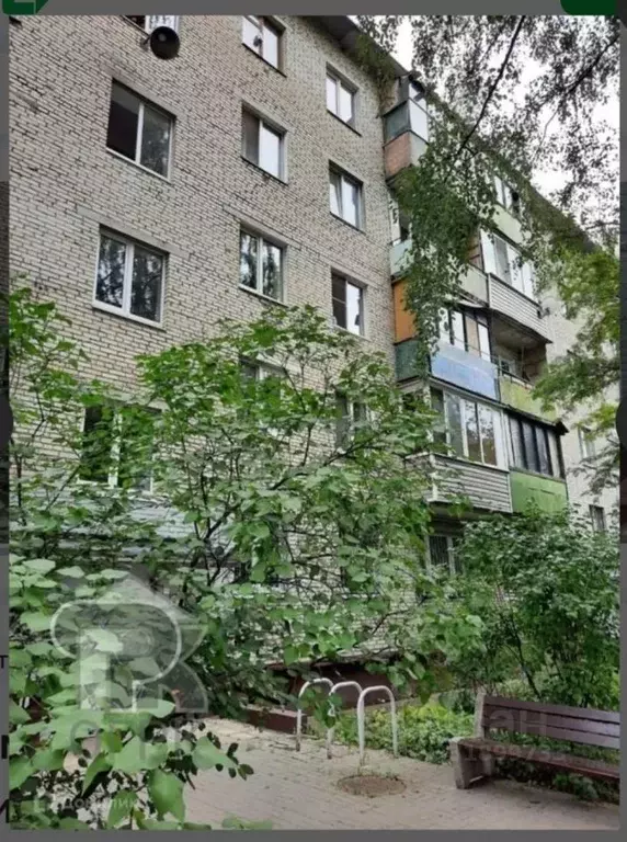 Комната Московская область, Балашиха Железнодорожный мкр, ул. ... - Фото 1
