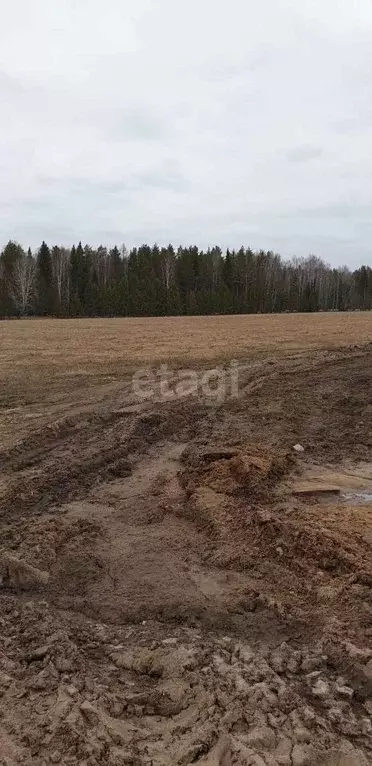 Участок в Свердловская область, Первоуральск муниципальный округ, пос. ... - Фото 1