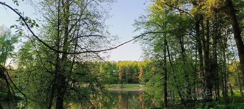 Участок в Московская область, Ленинский городской округ, д. Спасские ... - Фото 1