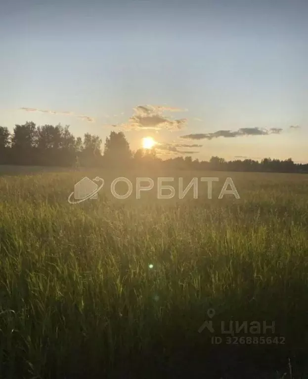 Участок в Тюменская область, Тюменский муниципальный округ, с. ... - Фото 1