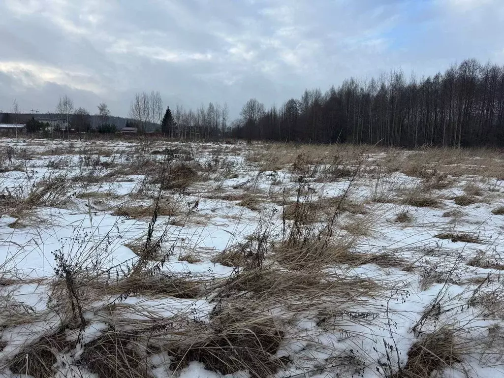 Участок в Московская область, Богородский городской округ, д. Ново ул. ... - Фото 1