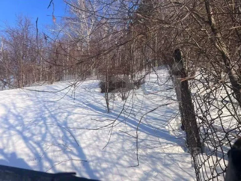 Участок в Алтай, Горно-Алтайск Каяс-1 СНТ, 16 (6.0 сот.) - Фото 1