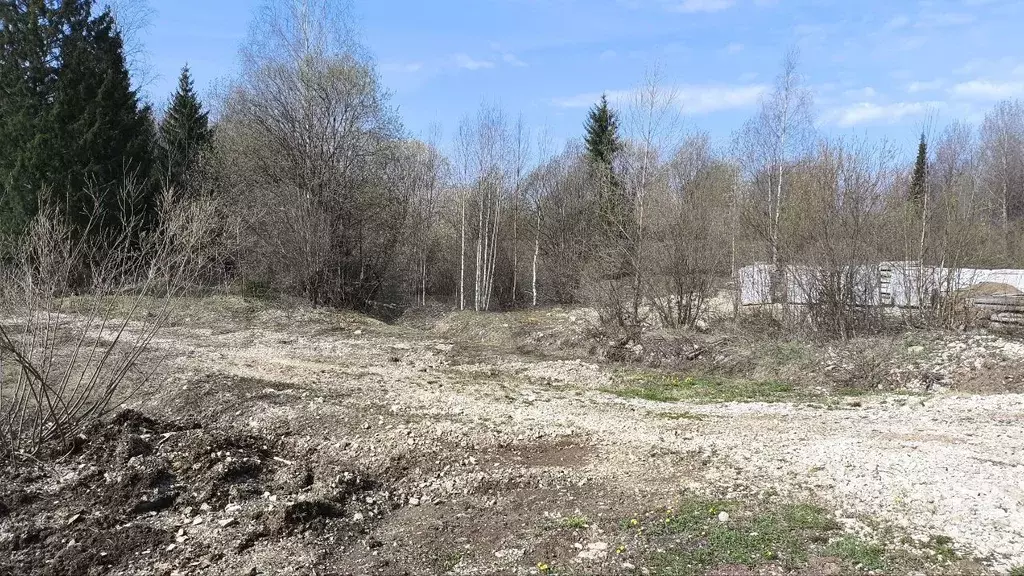 Участок 13,5 сот. (ИЖС) - Фото 0