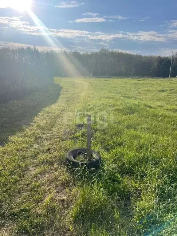 Участок в Пензенская область, Пензенский район, Засечный сельсовет, с. ... - Фото 2