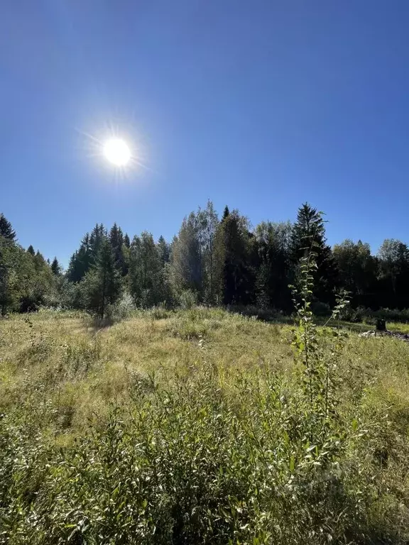 Участок в Ленинградская область, Всеволожский район, Агалатовское ... - Фото 1