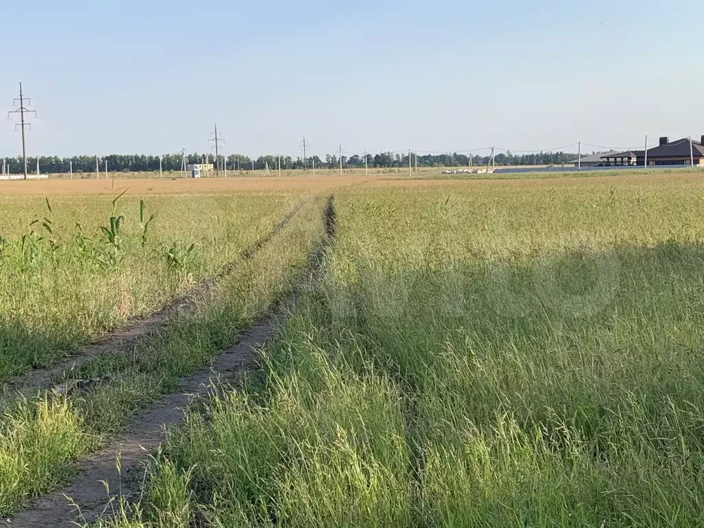 Купить Участок В Новой Усмани Воронежской