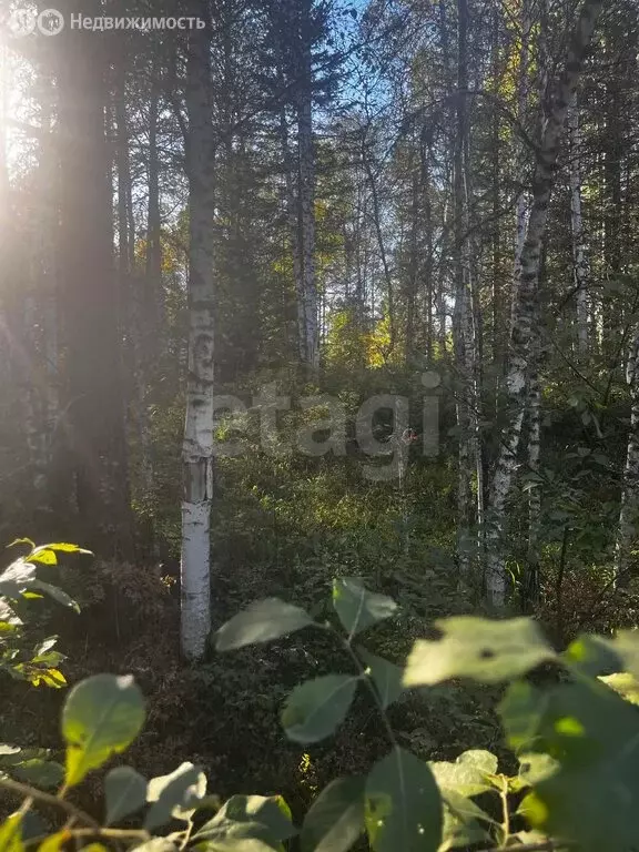 Участок в село Артыбаш, Просторная улица (23.37 м) - Фото 2