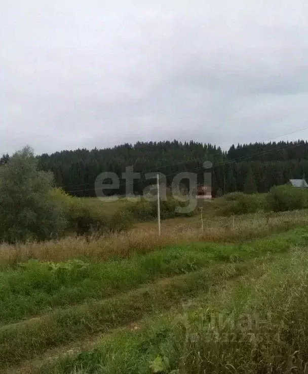 Участок в Пермский край, Пермский муниципальный округ, Власы тер.  ... - Фото 1