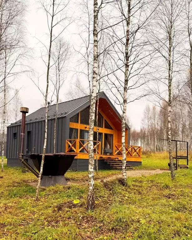 Дом в Тульская область, Заокский район, Демидовское с/пос, д. ... - Фото 1