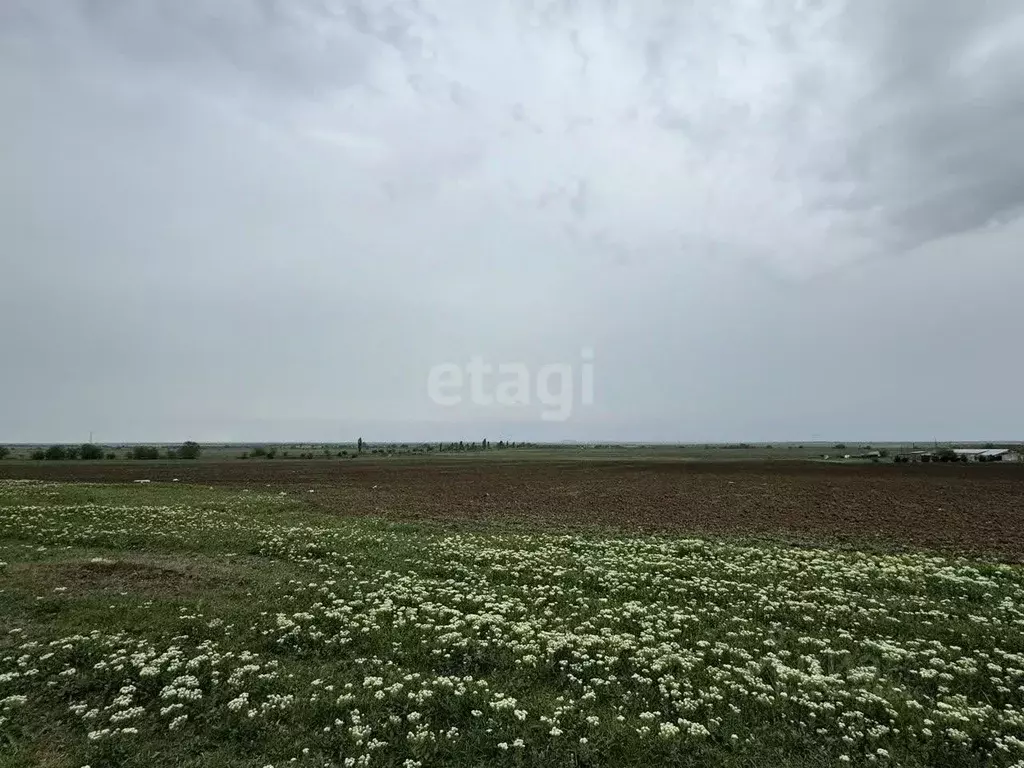 Участок в Крым, Красногвардейский район, с. Полтавка  (622.2 сот.) - Фото 1
