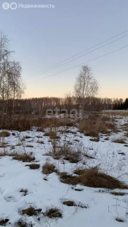 Участок в Саккуловское сельское поселение, деревня Этимганова (10.3 м) - Фото 1