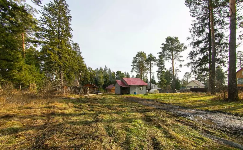 Дом в Томская область, Томский район, с. Корнилово Тихий пер. (56 м) - Фото 2
