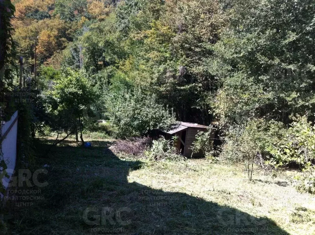 Участок в Краснодарский край, Сочи Макаренко СНТ, ул. Олимпийская, ... - Фото 2