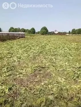 Участок в Ленинградская область, Волосовское городское поселение, ... - Фото 1