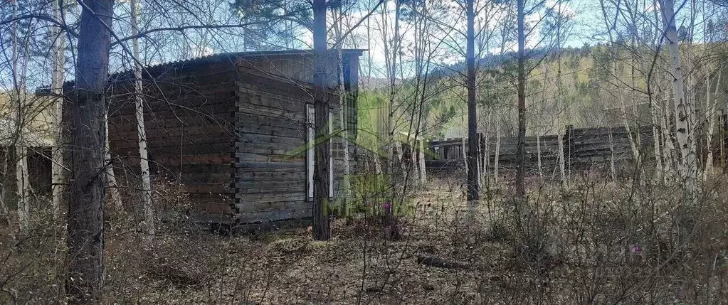 Дом в Бурятия, Прибайкальский район, пос. Еловка  (24 м) - Фото 2