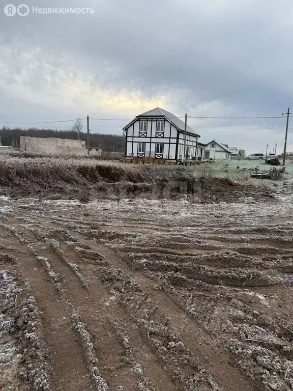 Участок в Калининградская область, Гурьевский муниципальный округ, ... - Фото 1