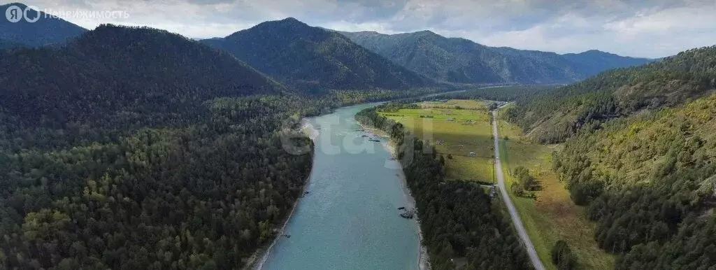 Участок в Чемальский район, село Чепош (10 м) - Фото 1