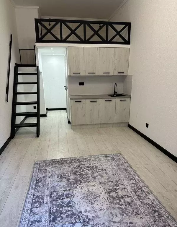 Студия Санкт-Петербург Лиговский просп., 65 (23.0 м) - Фото 2