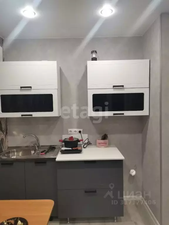 Студия Амурская область, Благовещенский район, с. Чигири ул. ... - Фото 1