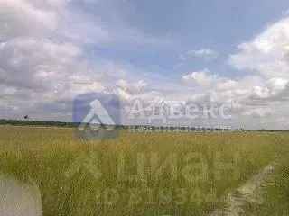 Участок в Тюменская область, Тюменский район, д. Речкина  (10.08 сот.) - Фото 1