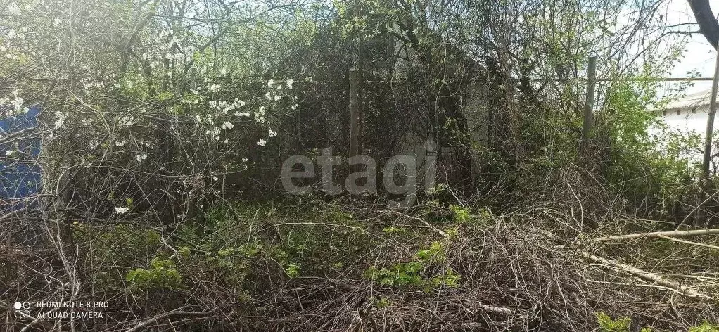 Дом в Белгородская область, Волоконовка рп ул. Дачная (35 м) - Фото 0