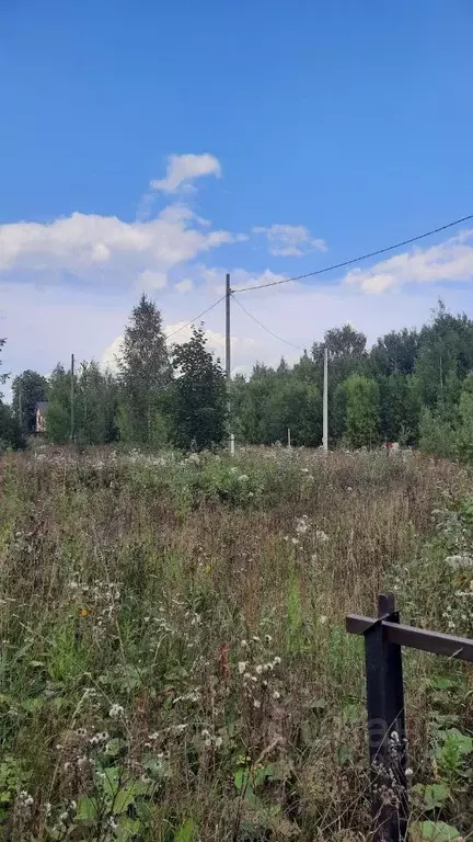 Участок в Пермский край, Пермский муниципальный округ, пос. ... - Фото 1