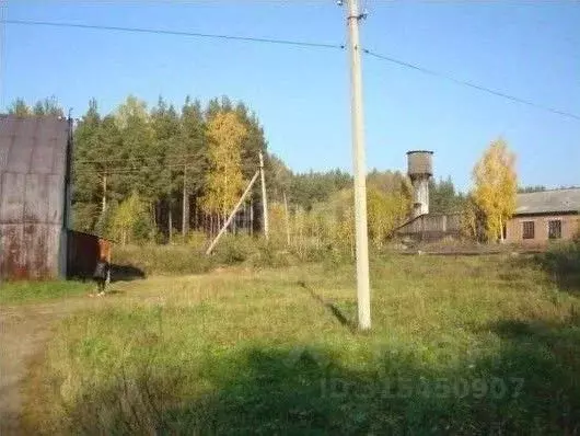 Помещение свободного назначения в Свердловская область, Горноуральский ... - Фото 2