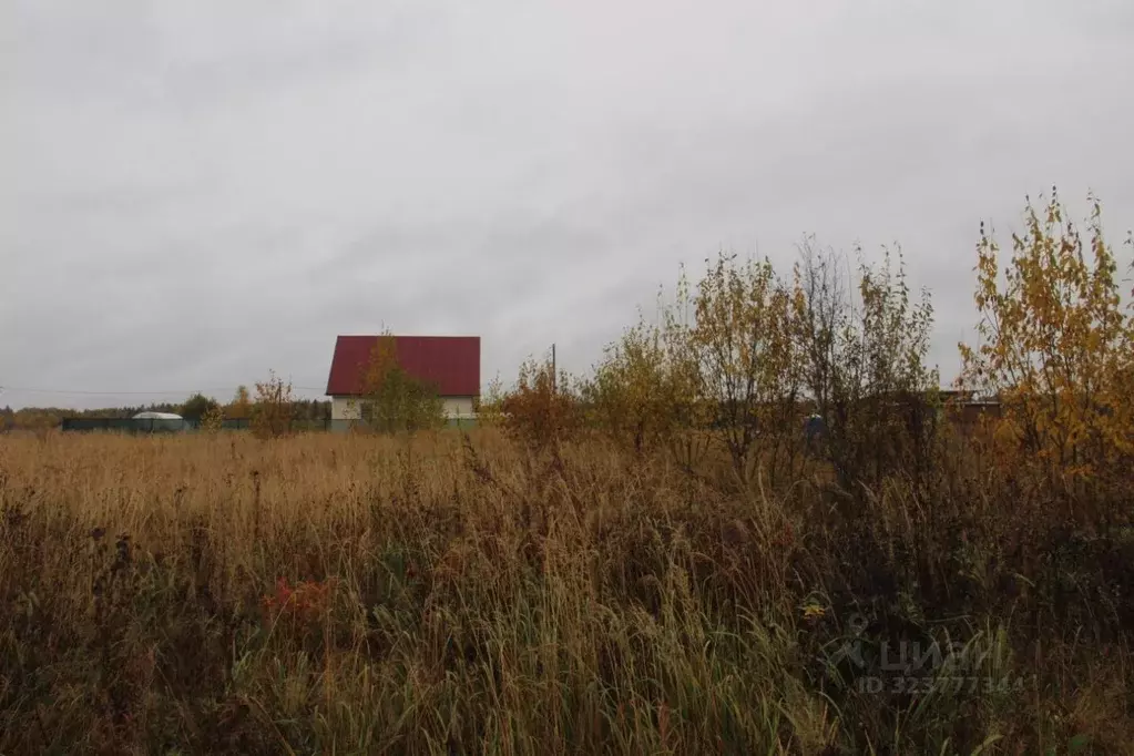 Участок в Московская область, Шаховская муниципальный округ, с. Белая ... - Фото 1