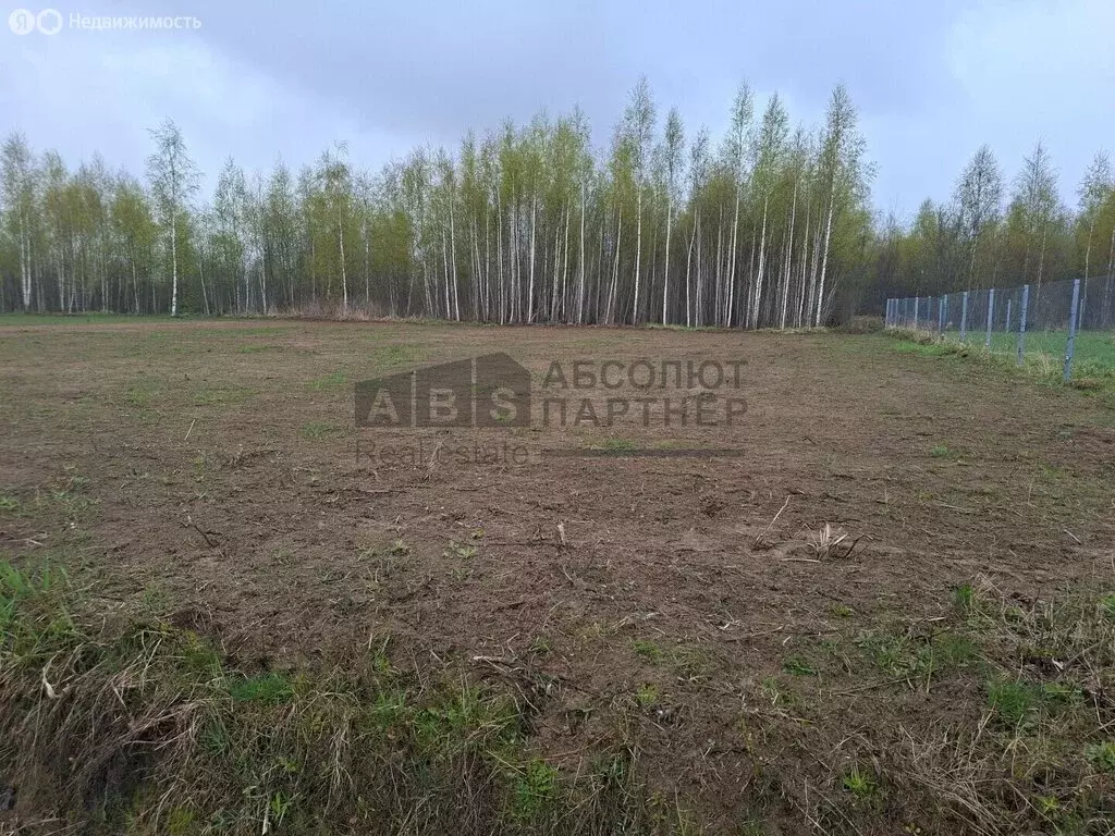 Участок в Новгородский муниципальный район, Ракомское сельское ... - Фото 1