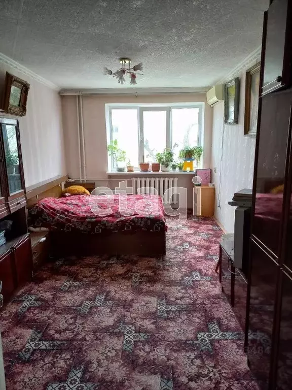 Комната Крым, Евпатория ул. 13 Ноября, 83 (65.0 м) - Фото 1