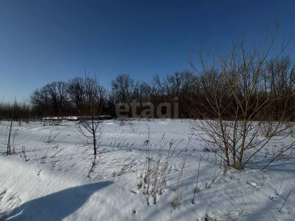 Участок в Курская область, Курск ул. Евгения Носова (10.0 сот.) - Фото 1