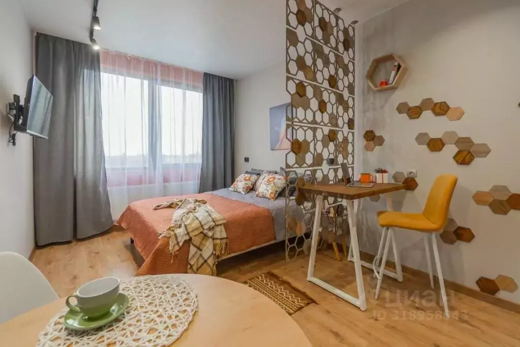 1-к кв. Санкт-Петербург дор. На Турухтанные острова, 5к1 (25.0 м) - Фото 1