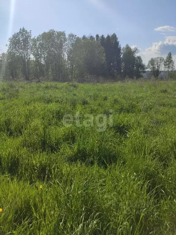 Участок в Вологодская область, пос. Заря  (14.0 сот.) - Фото 2