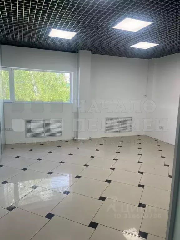 Помещение свободного назначения в Новосибирская область, Новосибирск ... - Фото 0