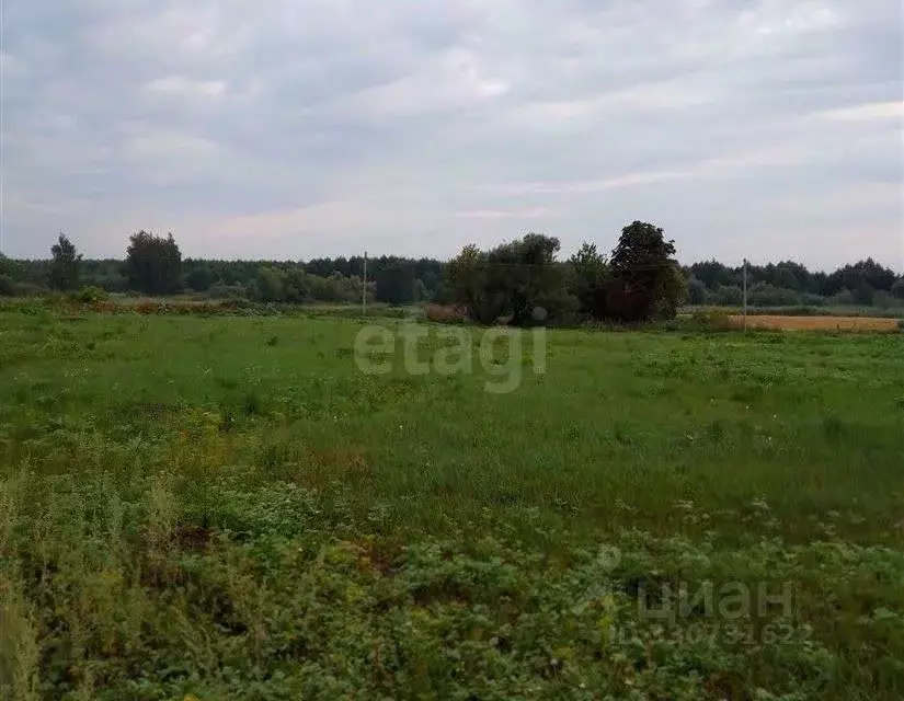 Участок в Вологодская область, Верховажский муниципальный округ, д. ... - Фото 1