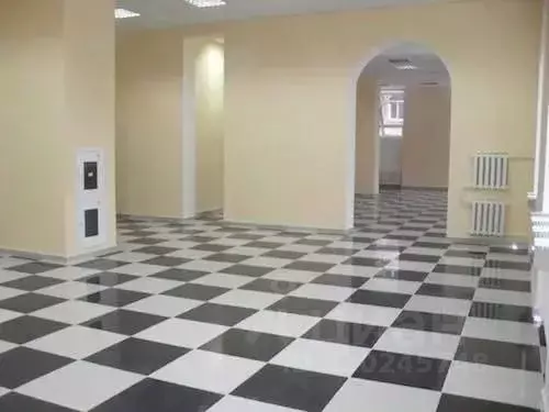 Помещение свободного назначения в Московская область, Дзержинский ул. ... - Фото 2