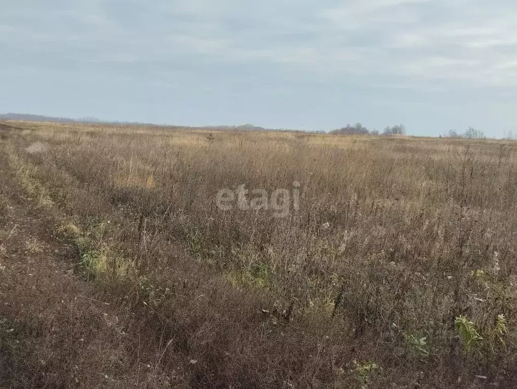 Участок в Липецкая область, Грязинский район, Плехановский сельсовет, ... - Фото 0