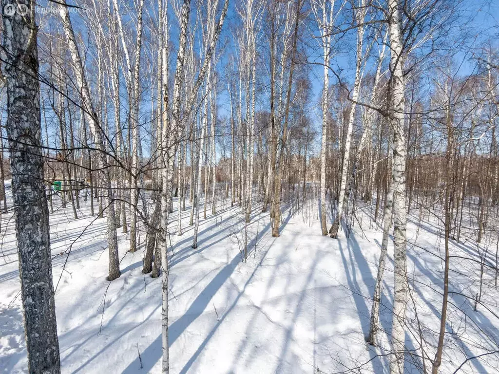 Участок в Тюменская область, Нижнетавдинский муниципальный округ, СНТ ... - Фото 1