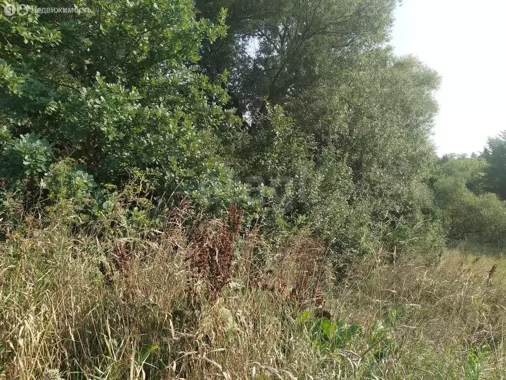 Участок в Ендовище, Нагорная улица (10 м) - Фото 0