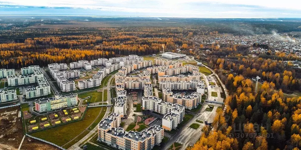 Помещение свободного назначения в Ленинградская область, Сертолово ... - Фото 0