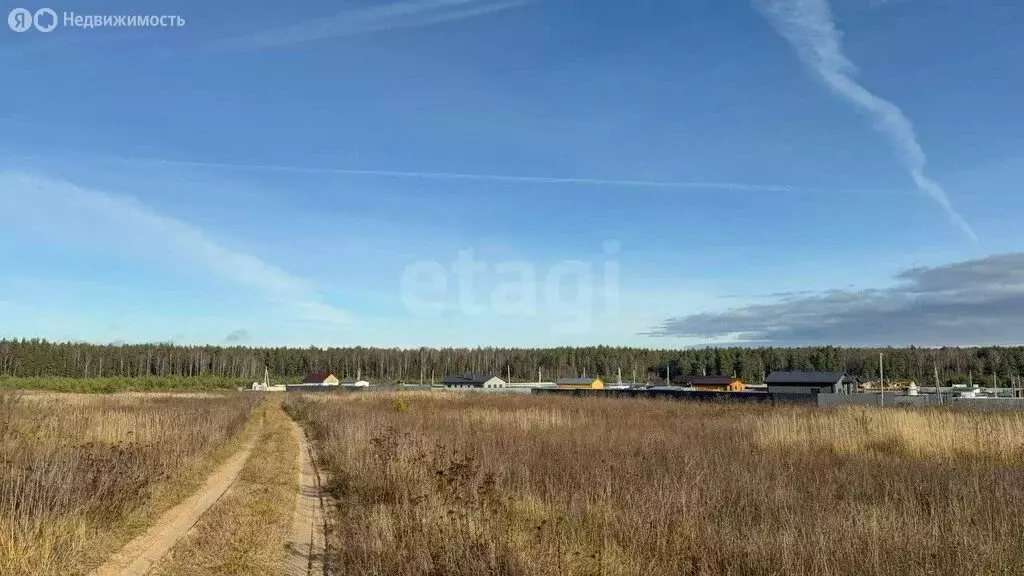 Участок в муниципальное образование Новосельское, деревня Черноситово ... - Фото 0