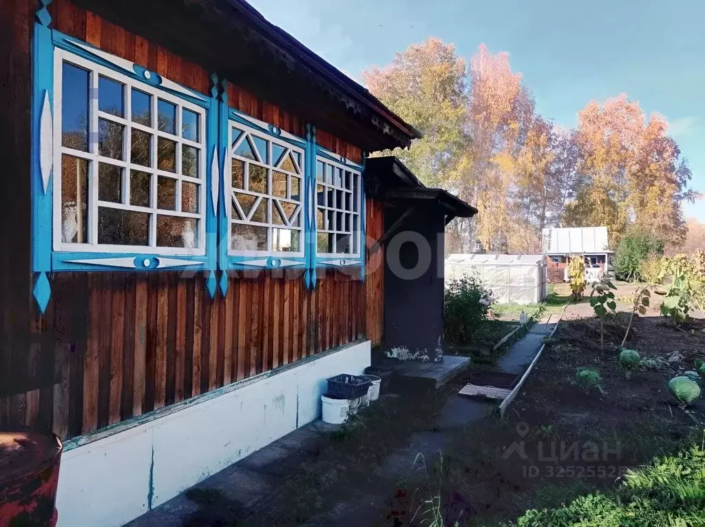 Дом в Новосибирская область, Коченевский район, Колос СНТ ул. ... - Фото 2