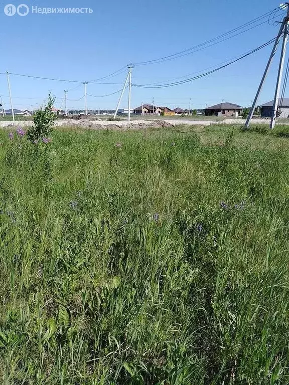 Участок в Падерина, улица 95-летия Тюменского района (4.05 м) - Фото 0