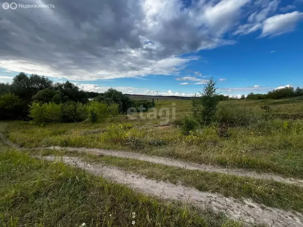 Участок в село Вышки, Лесная улица (16.6 м) - Фото 1