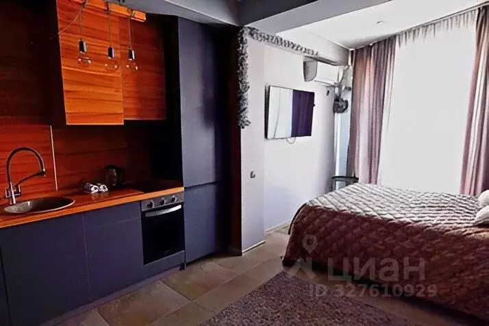1-к кв. Краснодарский край, Сочи Мамайка мкр, ул. Волжская, 34/4 (28.0 ... - Фото 1