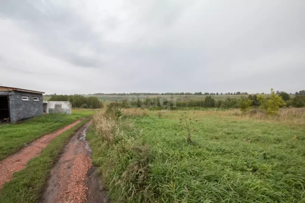 Участок в Кемеровская область, Новокузнецкий муниципальный округ, д. ... - Фото 1