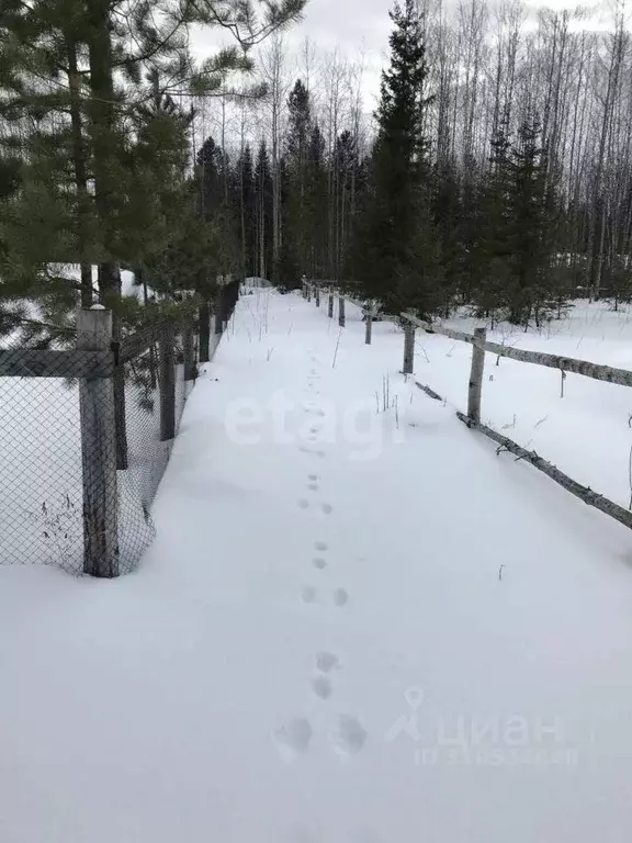 Участок в Ханты-Мансийский АО, Ханты-Мансийск Медик СОТ,  (10.0 сот.) - Фото 1